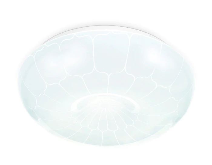 Потолочный светодиодный светильник Ambrella light FZ1090