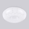 Потолочный светодиодный светильник Ambrella light FZ1090