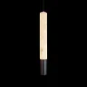 Подвесной светильник Loft it Montblanc 10475C Black