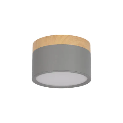 Накладной светильник LOFT IT 10162 Grey