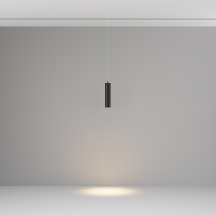 Трековый подвесной светильник Maytoni Focus LED TR041-2-12W3K-B