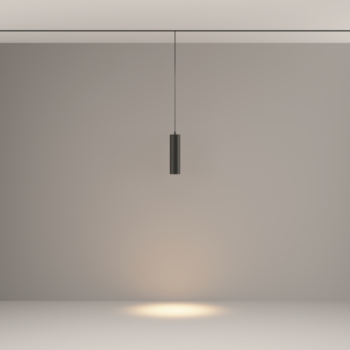 Трековый подвесной светильник Maytoni Focus LED TR041-2-12W3K-B