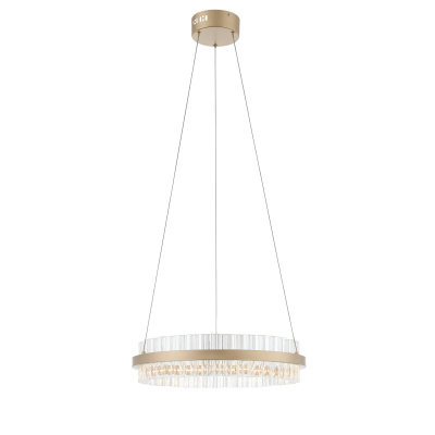 Светильник подвесной ST-Luce SL383.203.01 Золото/Золото, Прозрачный LED 1*34W