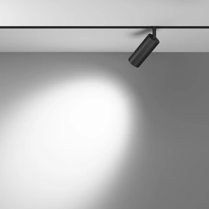 Трековый светильник Maytoni Focus LED TR032-2-12W3K-M-B