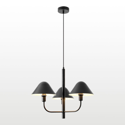 Люстра подвесная Lussole Congress LSP-8971