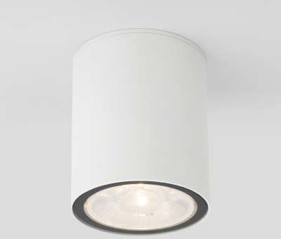 Уличный потолочный светильник Elektrostandard Light led 4690389176579