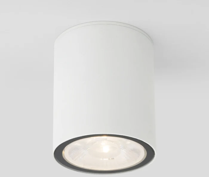 Уличный потолочный светильник Elektrostandard Light led 4690389176579