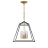 Подвесная люстра Delight Collection Cage BRCH9034