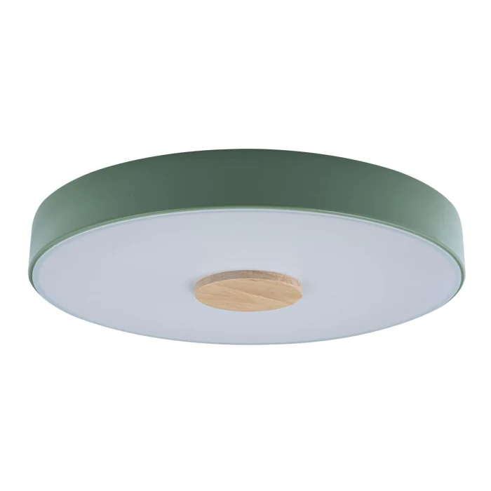Светильник потолочный LOFTIT Axel 10003/24 Green