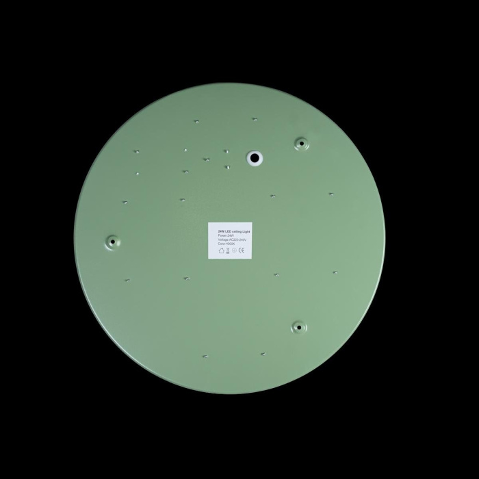 Светильник потолочный LOFTIT Axel 10003/24 Green