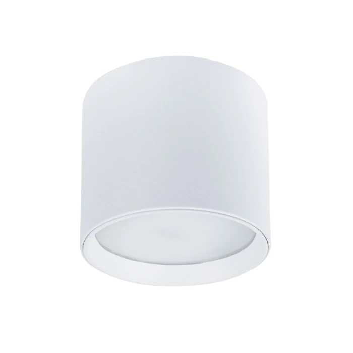 Светильник точечный накладной со сменной лампой Arte Lamp INTERCRUS A5548PL-1WH