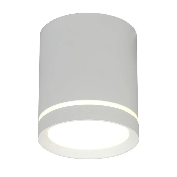Светильник накладной Omnilux Capurso OML-102409-05