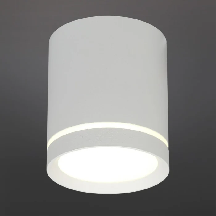 Светильник накладной Omnilux Capurso OML-102409-05