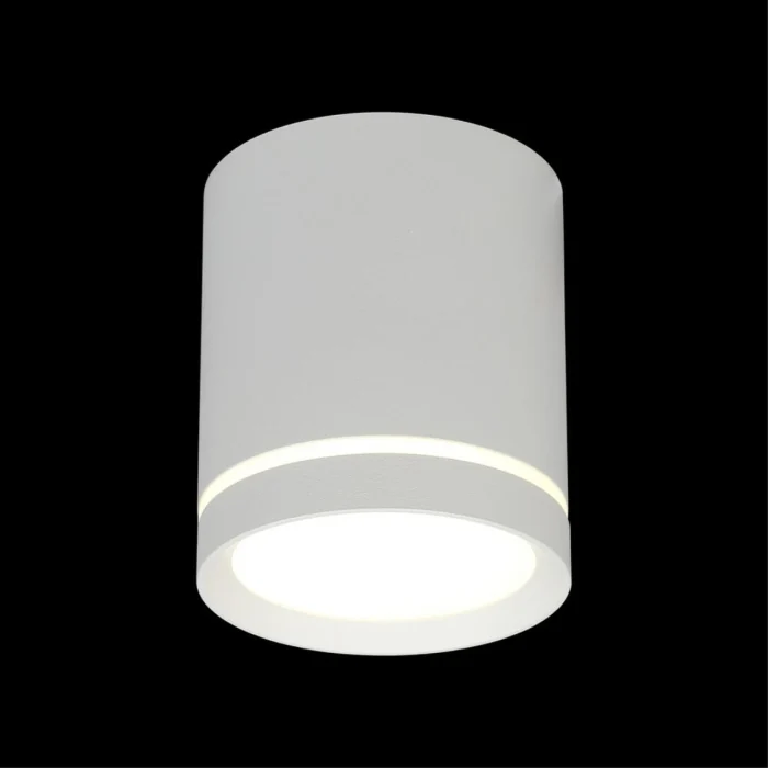 Светильник накладной Omnilux Capurso OML-102409-05