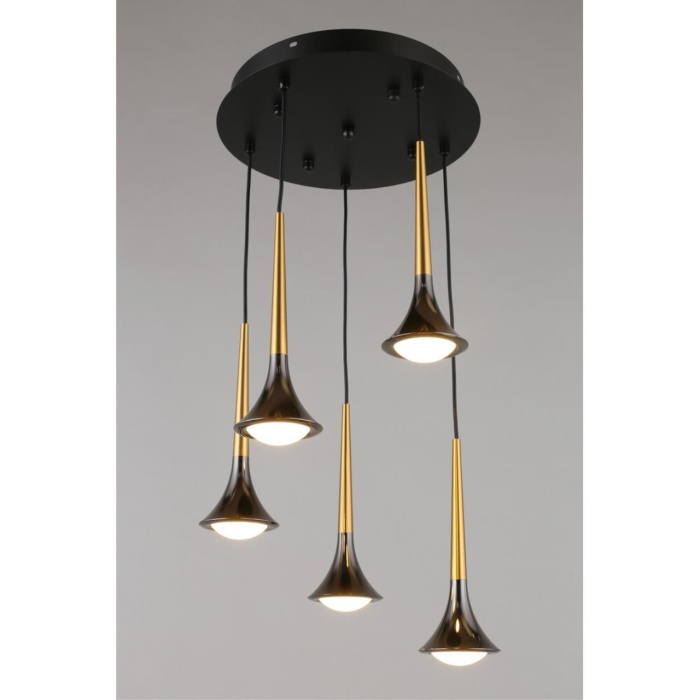 Люстра подвесная Aployt Agas APL.784.06.05