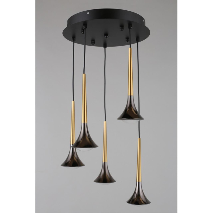 Люстра подвесная Aployt Agas APL.784.06.05