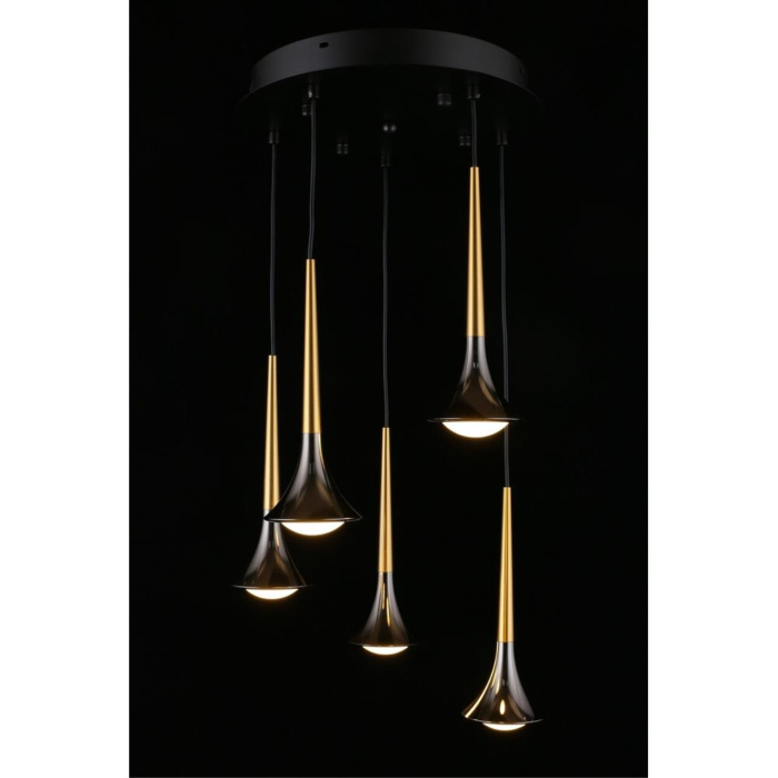 Люстра подвесная Aployt Agas APL.784.06.05