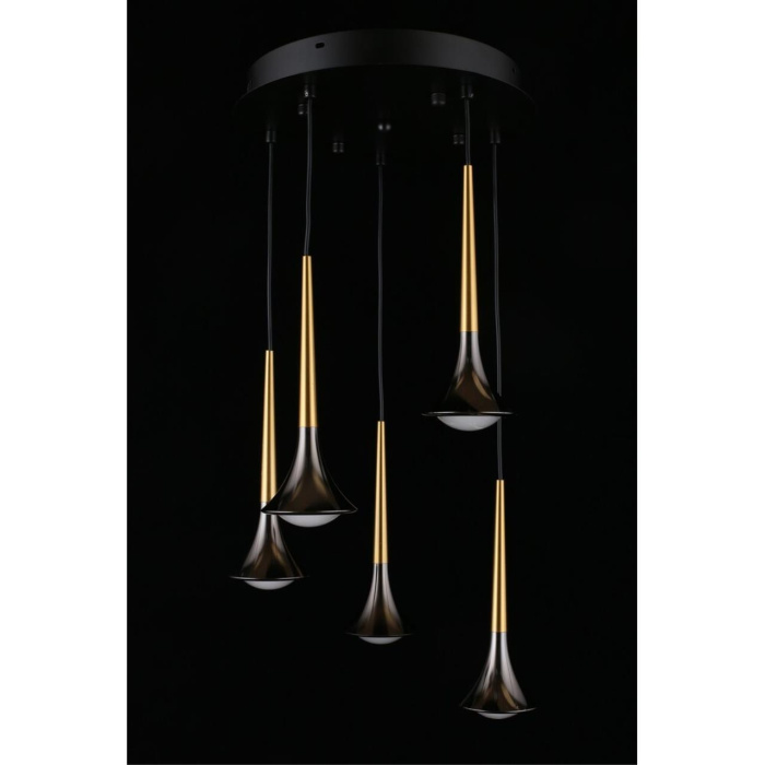 Люстра подвесная Aployt Agas APL.784.06.05