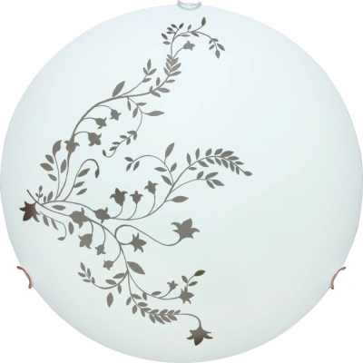 Потолочный светильник Arte Lamp ORNAMENT A3820PL-2CC