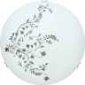 Потолочный светильник Arte Lamp ORNAMENT A3820PL-2CC