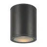 Накладной уличный светильник Maytoni Bar O306CL-L12GF