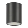 Накладной уличный светильник Maytoni Bar O306CL-L12GF