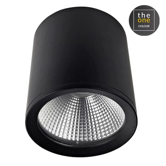 Потолочный светильник Leds C4 90-3210-60-OU