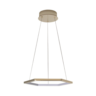 Подвесной светильник LOFT IT Ring 10016S