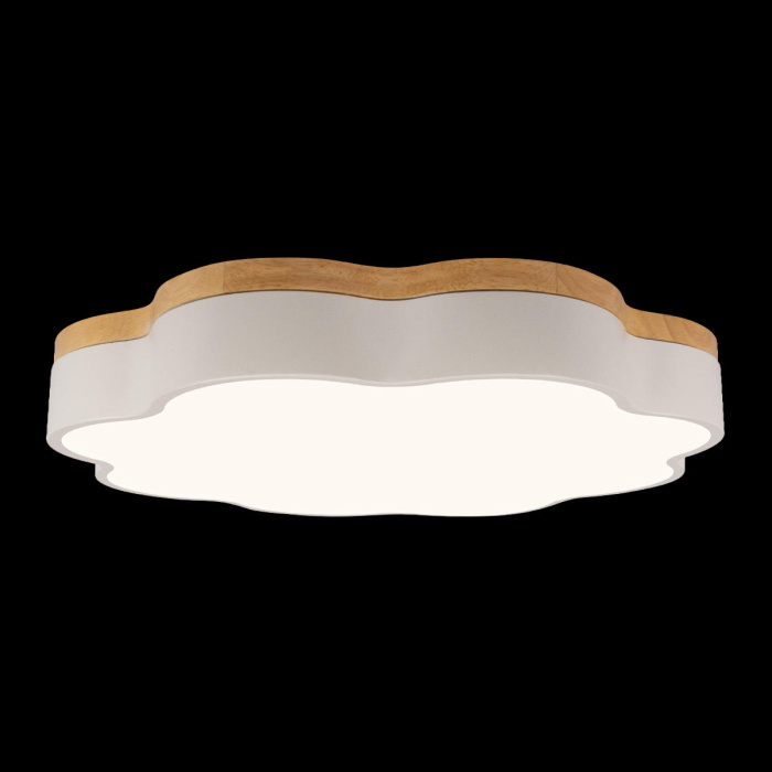 Потолочный светильник Loft it Axel 10225/36 White