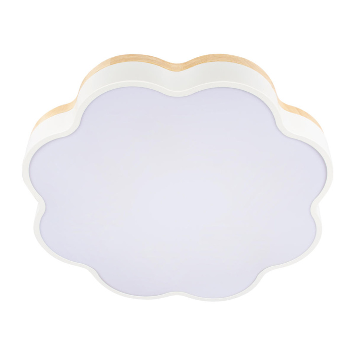 Потолочный светильник Loft it Axel 10225/36 White