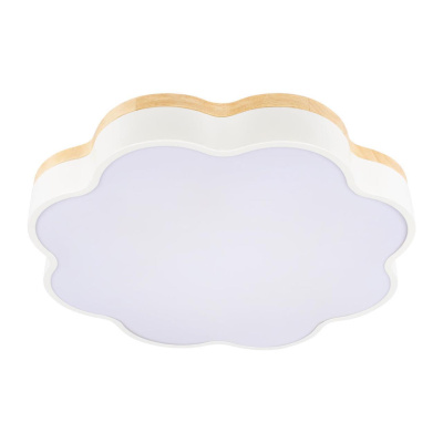 Потолочный светильник Loft it Axel 10225/36 White