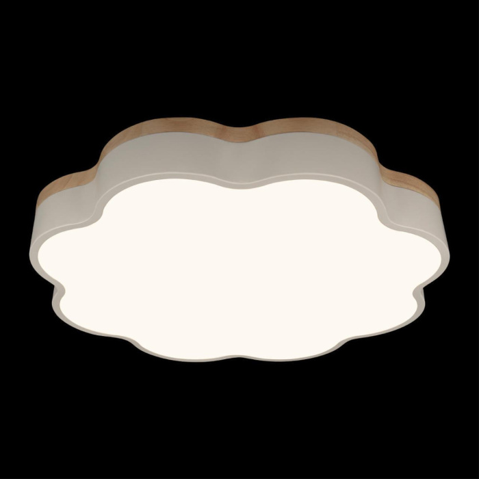 Потолочный светильник Loft it Axel 10225/36 White