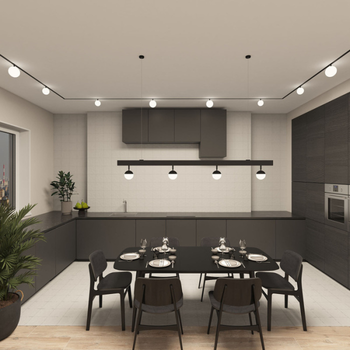 Светильник на шине Denkirs SMART MOON DK8055-BK