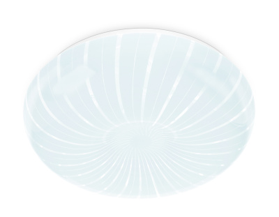 Потолочный светодиодный светильник Ambrella light FZ1092