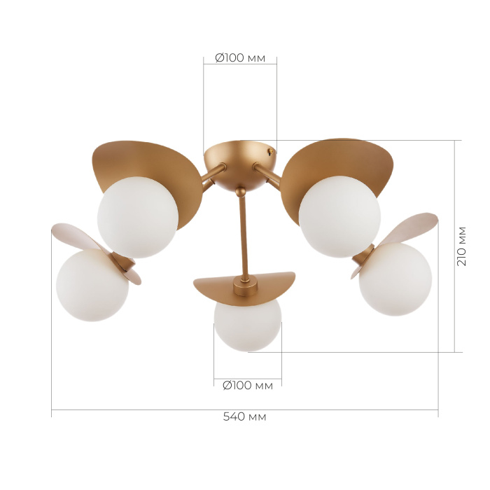 Люстра потолочная SLE220502-05 EVOLUCE