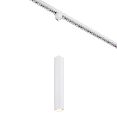 Трековый светильник 20001 ESCADA 20001TRP/01 SWH