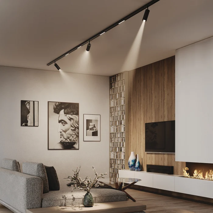 Светильник точечный Teta SMART PRO Teta Lightstar 205007