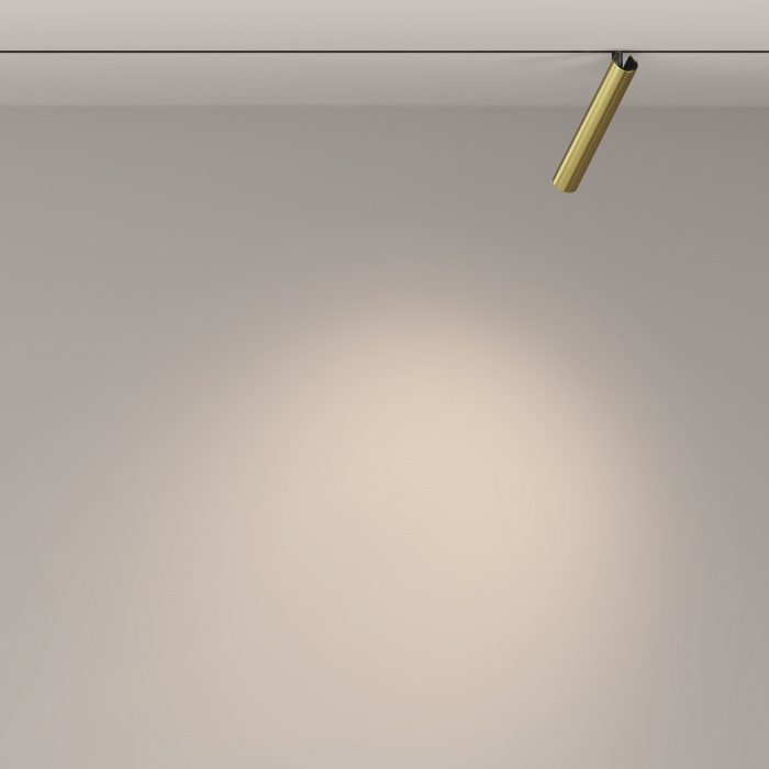 Трековый светильник Maytoni Focus T TR141-2-6W3K-M-BS