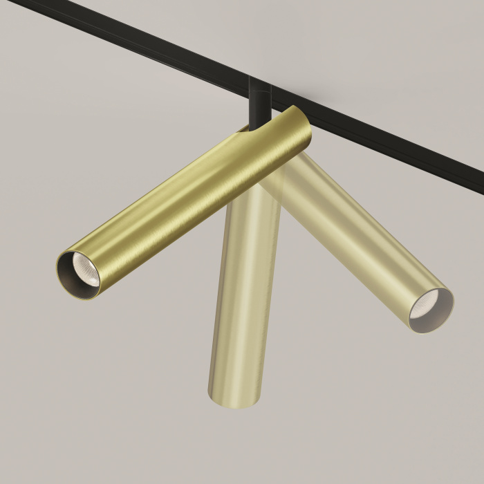 Трековый светильник Maytoni Focus T TR141-2-6W3K-M-BS