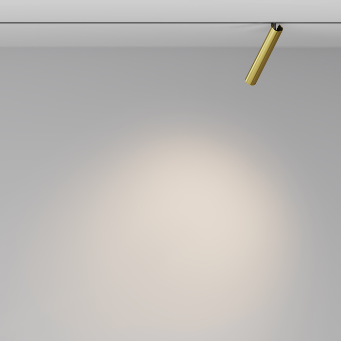 Трековый светильник Maytoni Focus T TR141-2-6W3K-M-BS