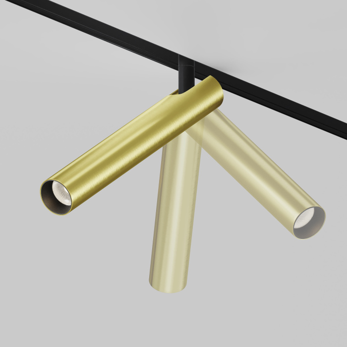 Трековый светильник Maytoni Focus T TR141-2-6W3K-M-BS