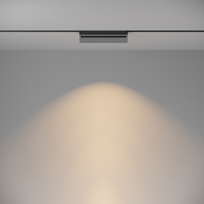 Трековый светильник Maytoni Basis Rot TR075-2-20W3K-B