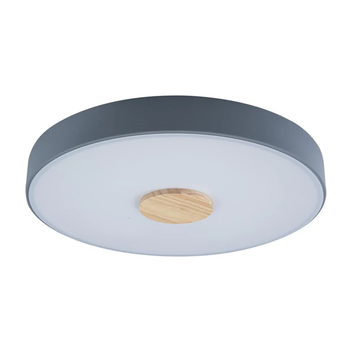 Светильник потолочный LOFTIT Axel 10003/24 Grey