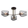 Потолочная люстра Ambrella light TR80171