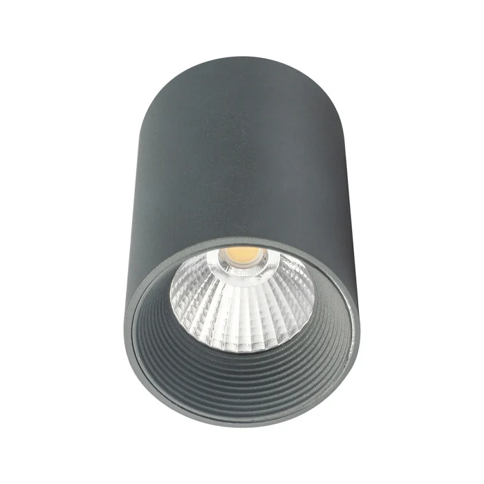 Потолочный светильник Escada 20003 20003SMU/01LED SGY