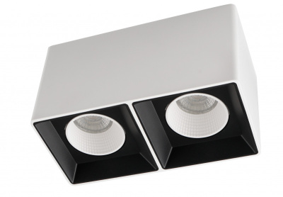 Накладной светильник Denkirs Rodvig DK3085-WB+WH