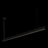 Подвесной светильник Loft it Vim 10318/B Black