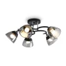 Потолочная люстра Freya Lillu FR5464CL-05CH