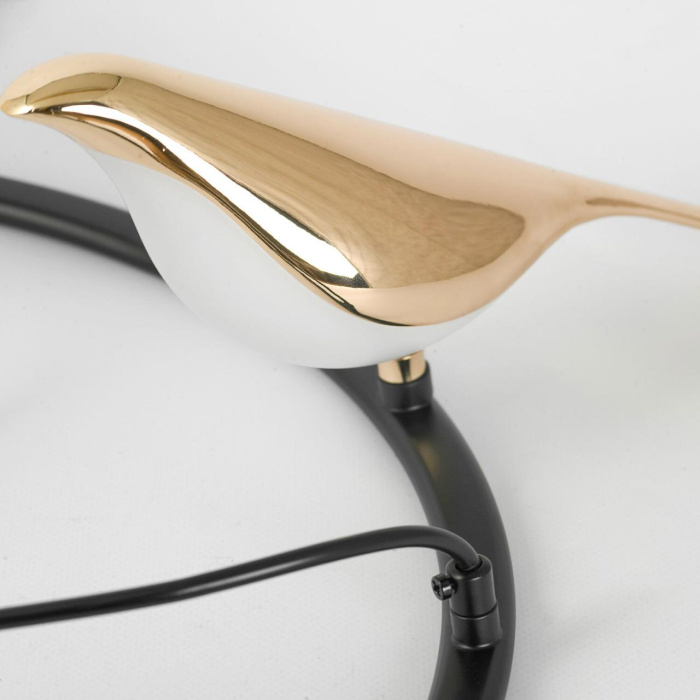 Люстра подвесная Lussole Jasper LSP-8641