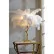Декоративная настольная лампа L'Arte Luce Luxury Feather Lamp L03431.02